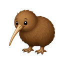 Kiwi bird