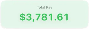 Total pay for the pay period.